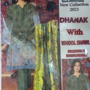 Dhanak Wool Shawl